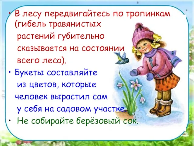 В лесу передвигайтесь по тропинкам (гибель травянистых растений губительно сказывается