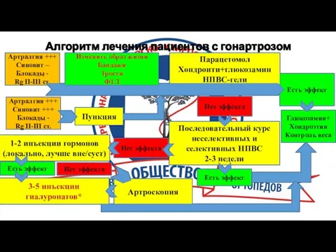 Пункция 1-2 инъекции гормонов (локально, лучше вне/суст) Алгоритм лечения пациентов