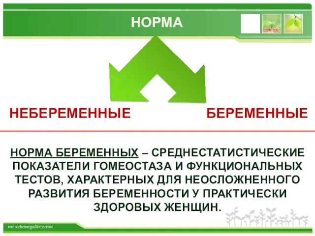 НОРМА БЕРЕМЕННЫЕ НЕБЕРЕМЕННЫЕ НОРМА БЕРЕМЕННЫХ – СРЕДНЕСТАТИСТИЧЕСКИЕ ПОКАЗАТЕЛИ ГОМЕОСТАЗА И ФУНКЦИОНАЛЬНЫХ ТЕСТОВ, ХАРАКТЕРНЫХ