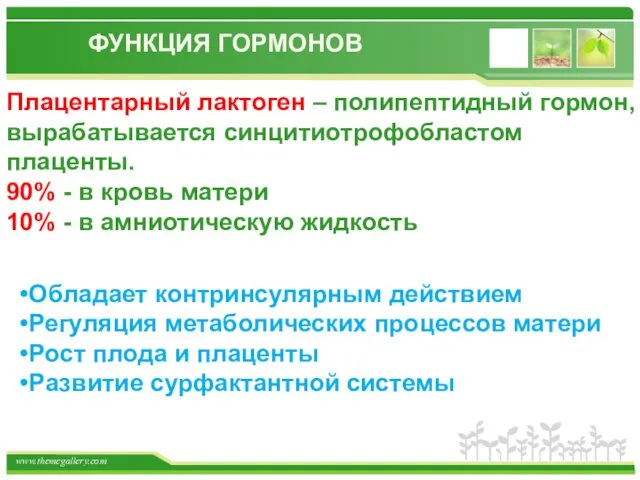 Обладает контринсулярным действием Регуляция метаболических процессов матери Рост плода и