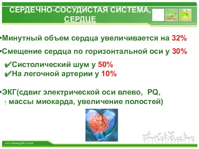 СЕРДЕЧНО-СОСУДИСТАЯ СИСТЕМА, СЕРДЦЕ Минутный объем сердца увеличивается на 32% Смещение