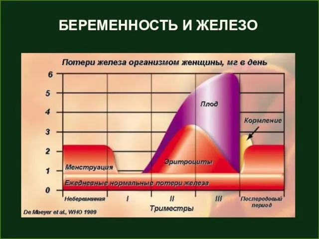 БЕРЕМЕННОСТЬ И ЖЕЛЕЗО