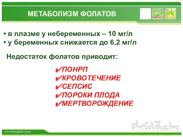 МЕТАБОЛИЗМ ФОЛАТОВ в плазме у небеременных – 10 мг/л у