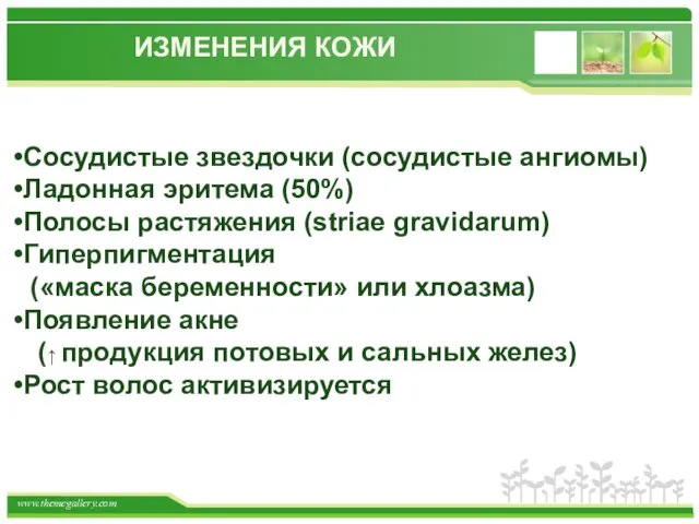 ИЗМЕНЕНИЯ КОЖИ Сосудистые звездочки (сосудистые ангиомы) Ладонная эритема (50%) Полосы растяжения (striae gravidarum)