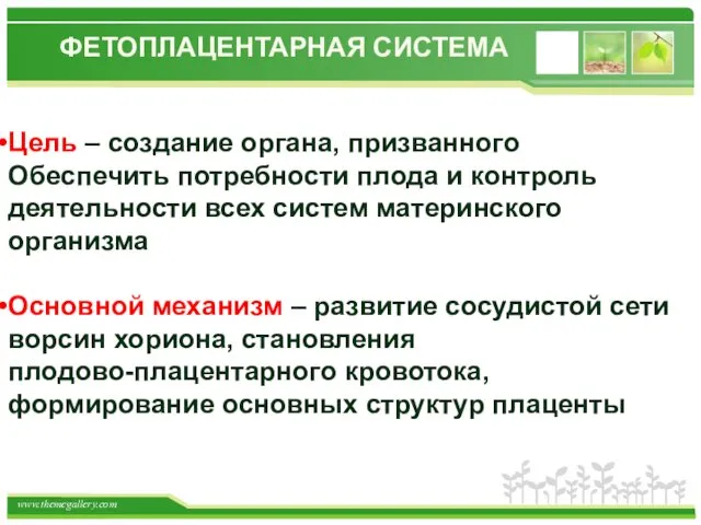 ФЕТОПЛАЦЕНТАРНАЯ СИСТЕМА Цель – создание органа, призванного Обеспечить потребности плода и контроль деятельности