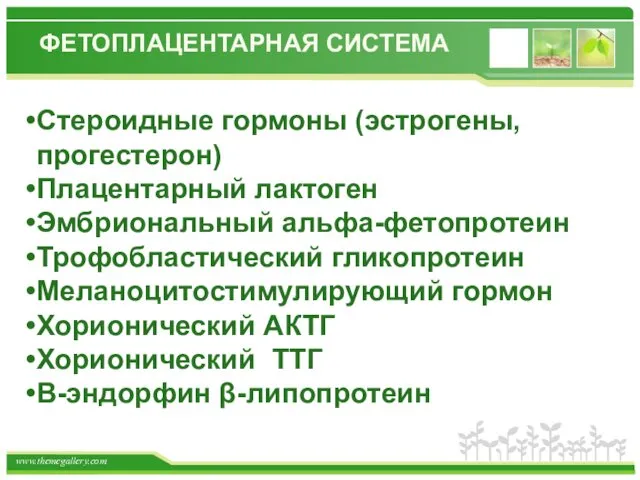 ФЕТОПЛАЦЕНТАРНАЯ СИСТЕМА Стероидные гормоны (эстрогены, прогестерон) Плацентарный лактоген Эмбриональный альфа-фетопротеин Трофобластический гликопротеин Меланоцитостимулирующий