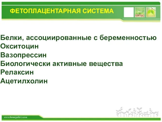 ФЕТОПЛАЦЕНТАРНАЯ СИСТЕМА Белки, ассоциированные с беременностью Окситоцин Вазопрессин Биологически активные вещества Релаксин Ацетилхолин