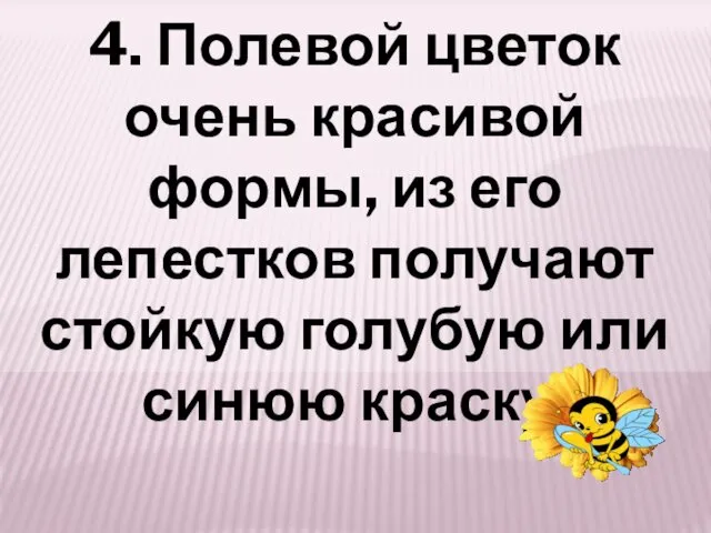 4. Полевой цветок очень красивой формы, из его лепестков получают стойкую голубую или синюю краску.