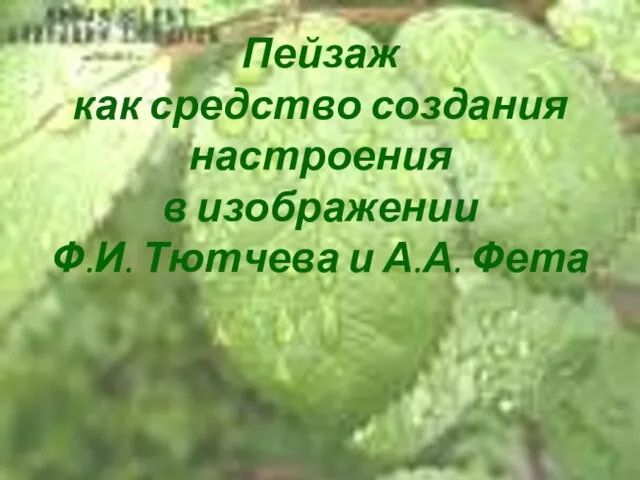 Пейзаж как средство создания настроения в изображении Ф.И. Тютчева и А.А. Фета