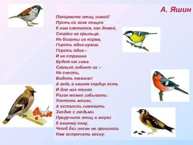 А. Яшин Покормите птиц зимой! Пусть со всех концов К вам слетятся, как