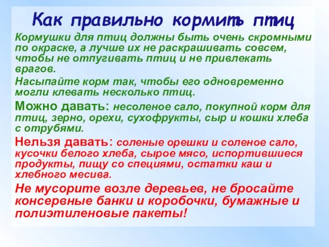 Как правильно кормить птиц Кормушки для птиц должны быть очень скромными по окраске,