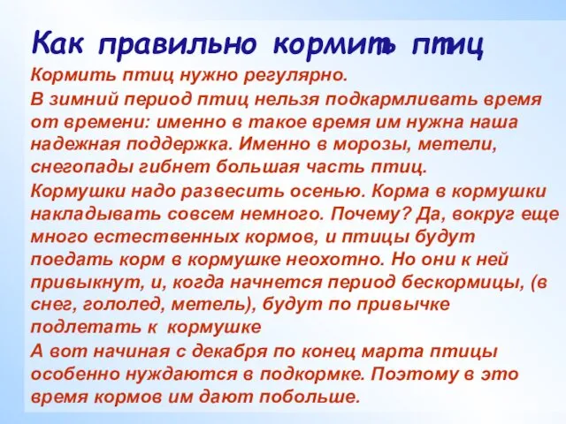 Как правильно кормить птиц Кормить птиц нужно регулярно. В зимний период птиц нельзя