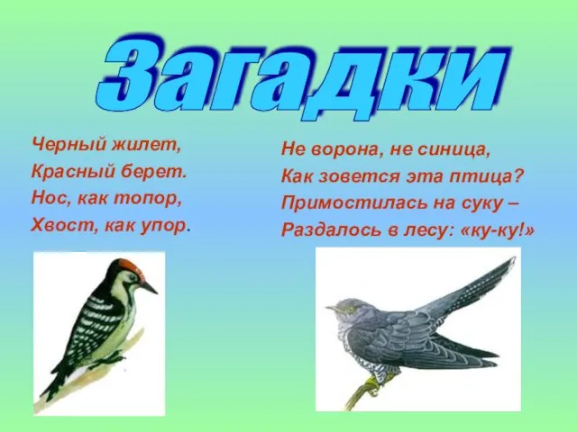 Загадки Черный жилет, Красный берет. Нос, как топор, Хвост, как упор. Не ворона,