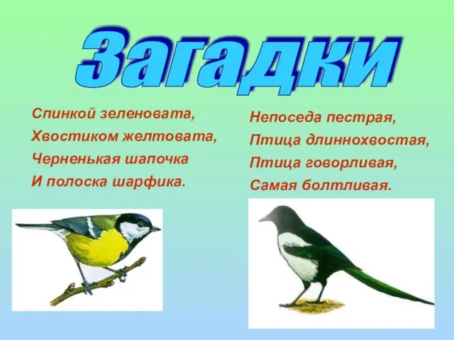 Загадки Спинкой зеленовата, Хвостиком желтовата, Черненькая шапочка И полоска шарфика.