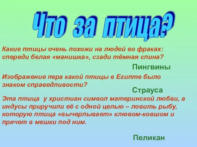 Что за птица? Какие птицы очень похожи на людей во фраках: спереди белая