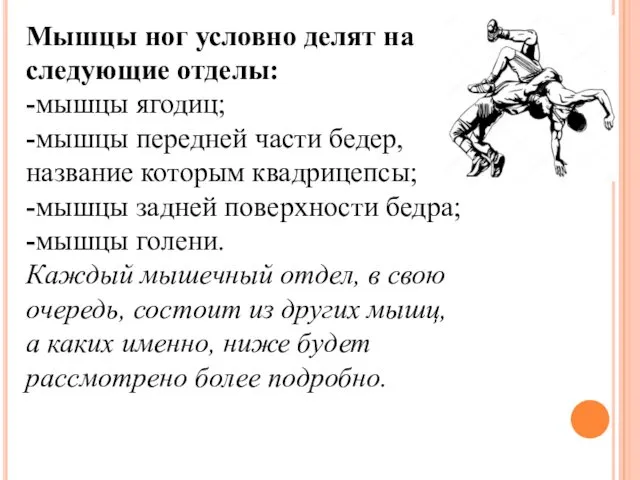 Мышцы ног условно делят на следующие отделы: -мышцы ягодиц; -мышцы