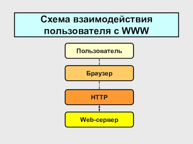 Схема взаимодействия пользователя с WWW
