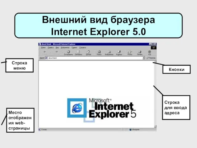 Внешний вид браузера Internet Explorer 5.0 Строка меню Кнопки Место отображения web-страницы Строка для ввода адреса