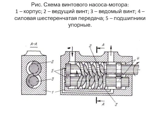 Рис. Схема винтового насоса-мотора: 1 – корпус; 2 – ведущий