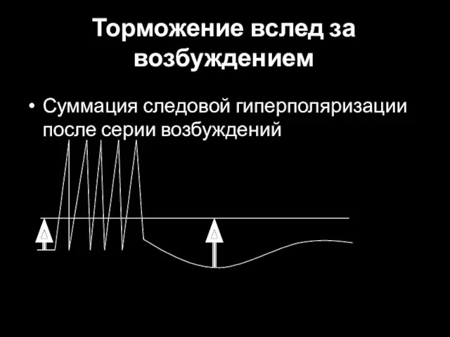 Торможение вслед за возбуждением Суммация следовой гиперполяризации после серии возбуждений