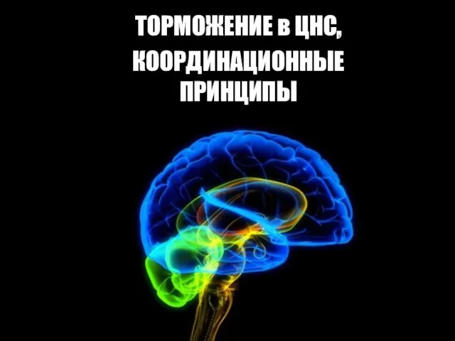 ТОРМОЖЕНИЕ в ЦНС, КООРДИНАЦИОННЫЕ ПРИНЦИПЫ