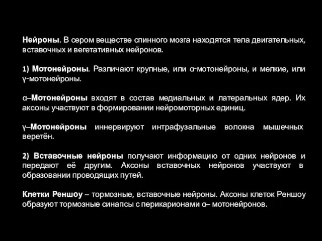 Нейроны. В сером веществе спинного мозга находятся тела двигательных, вставочных