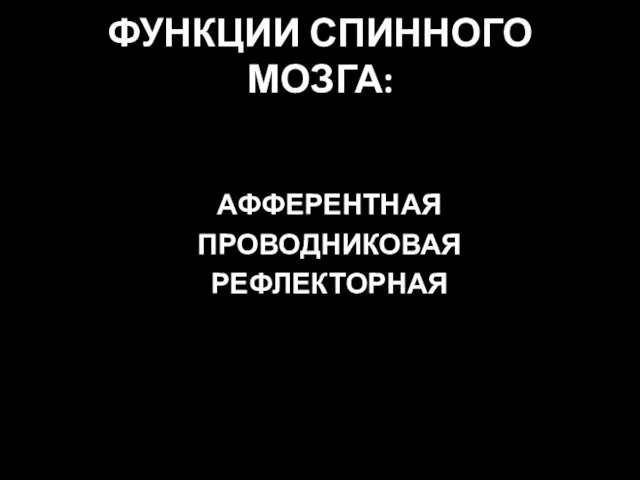 ФУНКЦИИ СПИННОГО МОЗГА: АФФЕРЕНТНАЯ ПРОВОДНИКОВАЯ РЕФЛЕКТОРНАЯ