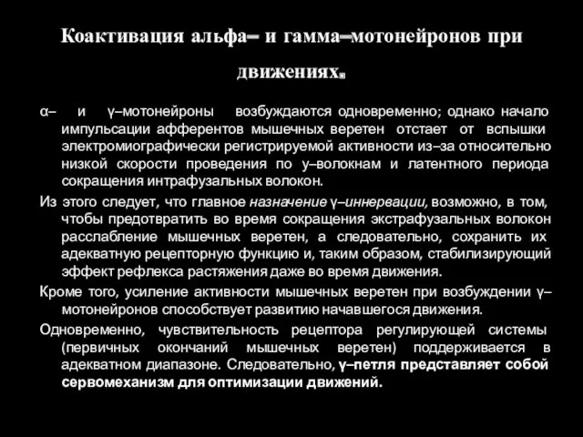 Коактивация альфа– и гамма–мотонейронов при движениях. α– и γ–мотонейроны возбуждаются