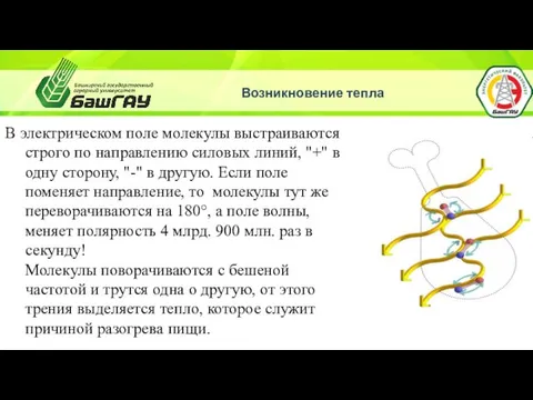 Возникновение тепла В электрическом поле молекулы выстраиваются строго по направлению