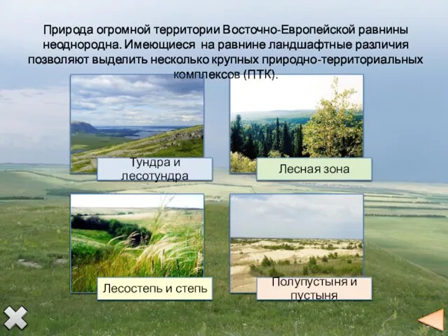 Природа огромной территории Восточно-Европейской равнины неоднородна. Имеющиеся на равнине ландшафтные