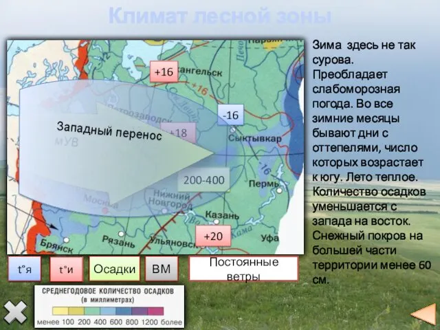 Климат лесной зоны t°я t°и Осадки ВМ -8 -16 +16