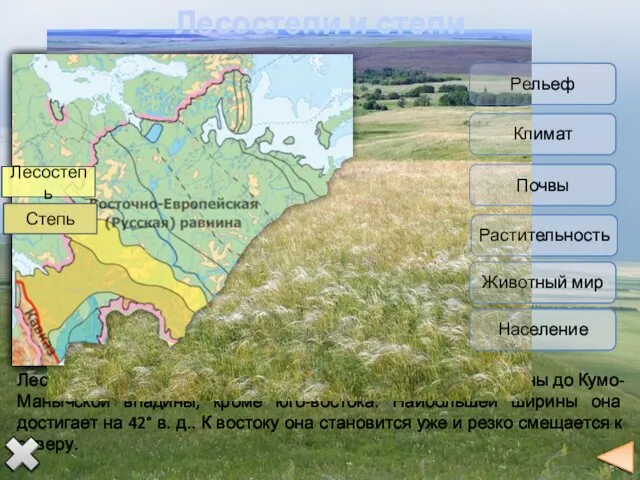 Лесостепи и степи занимают всю южную часть Русской равнины до