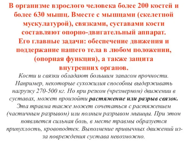 В организме взрослого человека более 200 костей и более 630