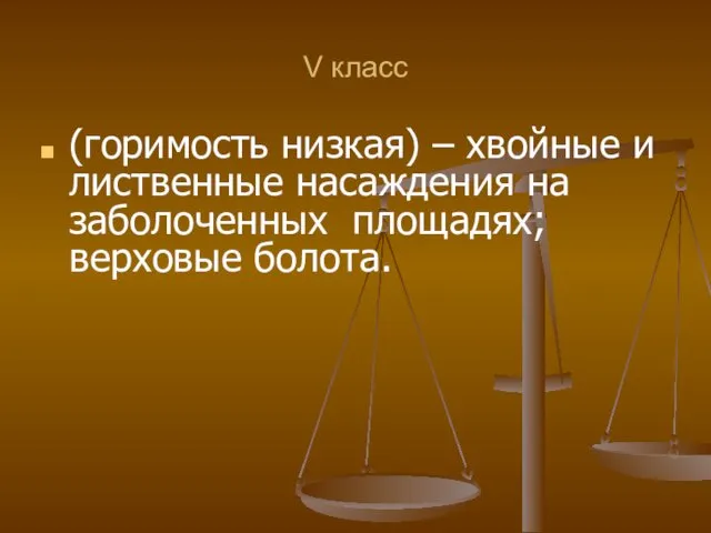 V класс (горимость низкая) – хвойные и лиственные насаждения на заболоченных площадях; верховые болота.