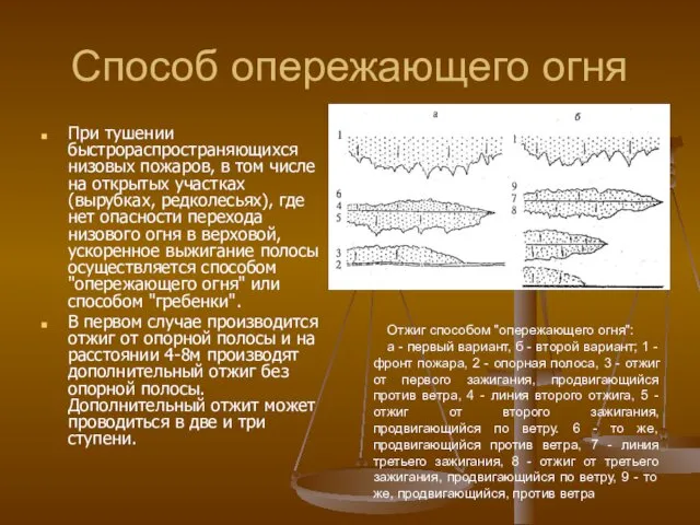 Способ опережающего огня При тушении быстрораспространяющихся низовых пожаров, в том