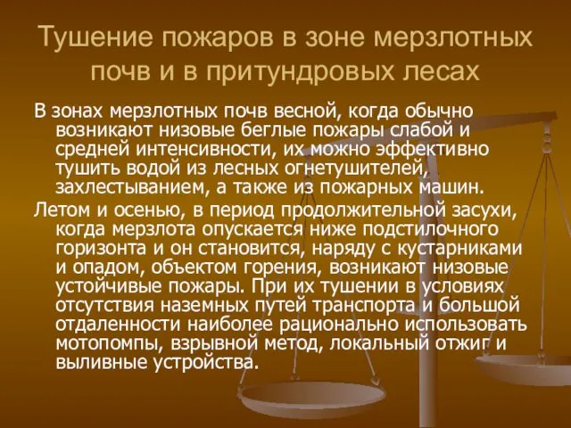 Тушение пожаров в зоне мерзлотных почв и в притундровых лесах