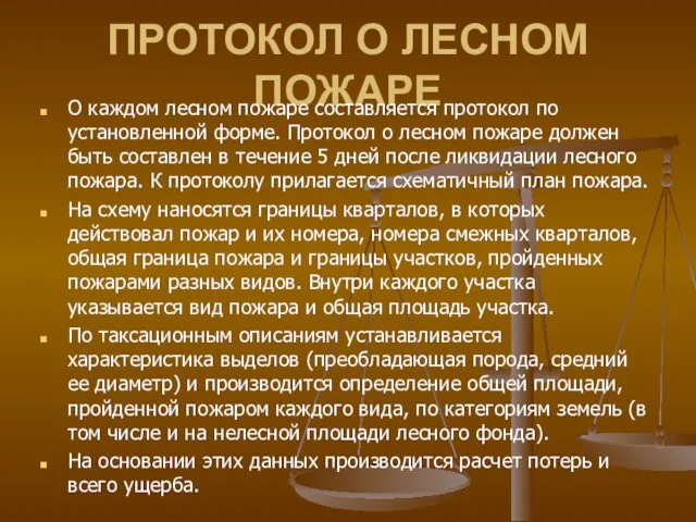 ПРОТОКОЛ О ЛЕСНОМ ПОЖАРЕ О каждом лесном пожаре составляется протокол