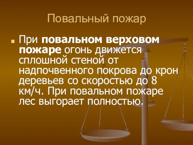 Повальный пожар При повальном верховом пожаре огонь движется сплошной стеной