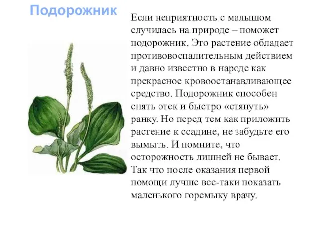 Если неприятность с малышом случилась на природе – поможет подорожник.