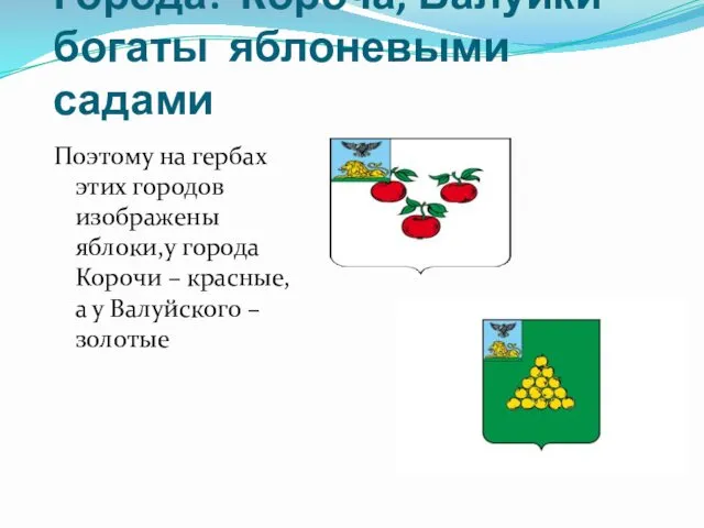 Города: Короча, Валуйки богаты яблоневыми садами Поэтому на гербах этих