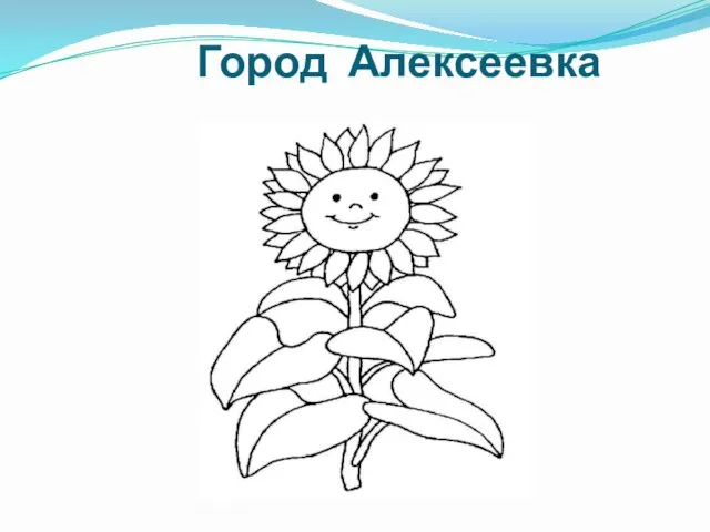 Город Алексеевка