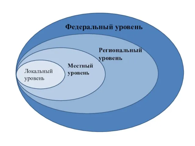 Федеральный уровень Региональный уровень Местный уровень Локальный уровень