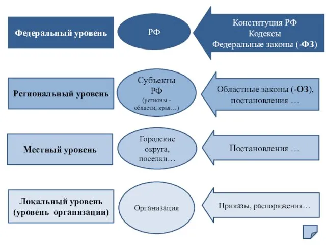 Федеральный уровень Региональный уровень Местный уровень Локальный уровень (уровень организации) Субъекты РФ (регионы