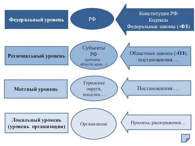 Федеральный уровень Региональный уровень Местный уровень Локальный уровень (уровень организации)