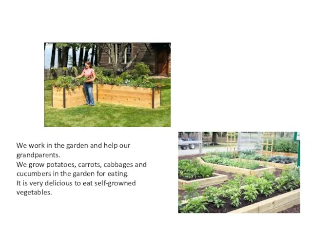 We work in the garden and help our grandparents. We