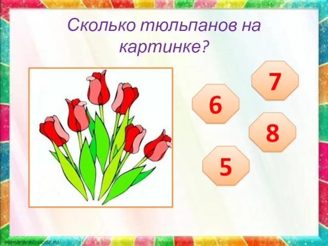 Сколько тюльпанов на картинке? 6 7 5 8