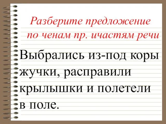 Выбрались из-под коры жучки, расправили крылышки и полетели в поле.