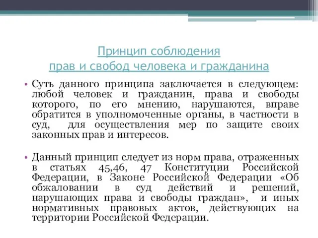 Суть данного принципа заключается в следующем: любой человек и гражданин,