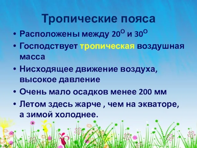 Тропические пояса Расположены между 20О и 30О Господствует тропическая воздушная