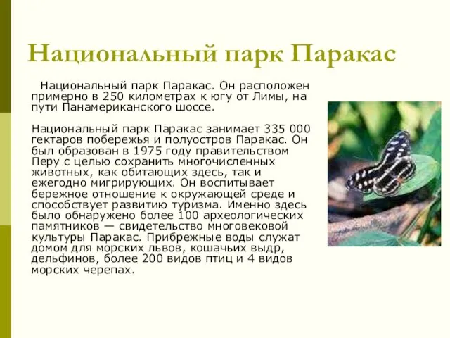 Национальный парк Паракас Национальный парк Паракас. Он расположен примерно в